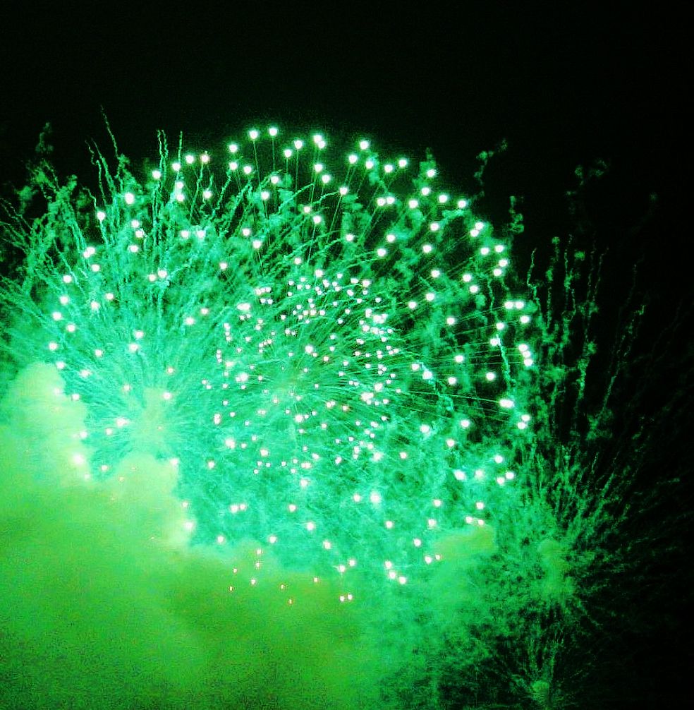 新年献礼3 摄影 梧桐雨润