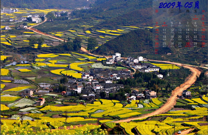 新年月历：我的光阴，我的风景——五月 摄影 月下菊影