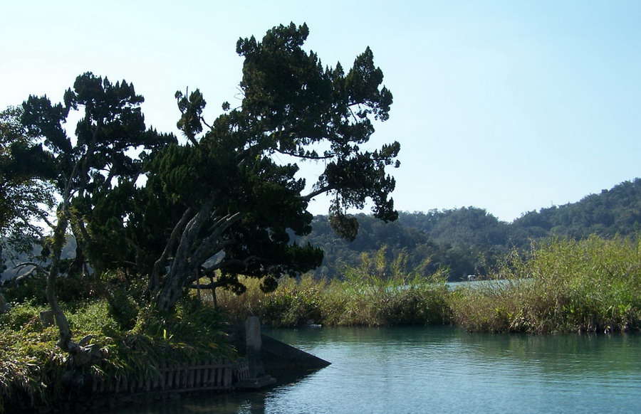 湖畔小景 摄影 七叶一支花