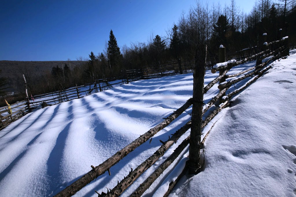 海林雪景 1 摄影 今日1115