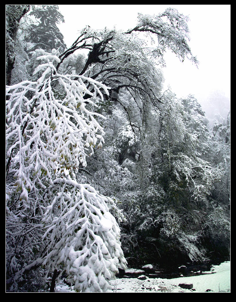 雪韵--1 摄影 白玛南疆