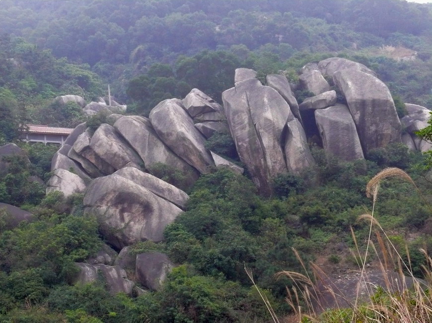 跌停板 摄影 闽山茶客