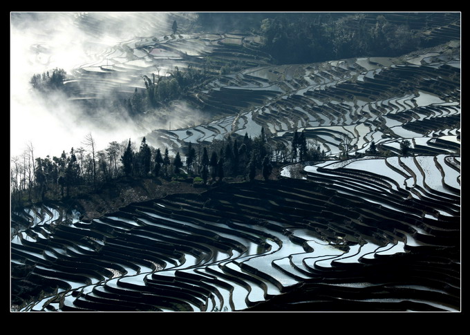 田园史诗（三） 摄影 雾里看花