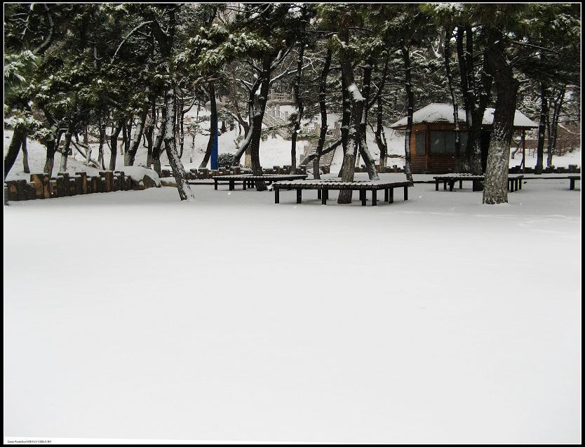 雪 景 摄影 凡光镜影