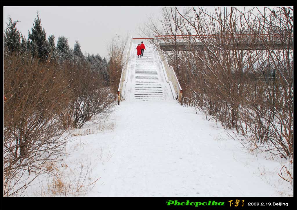 北京难得的一场雪 摄影 photopolka