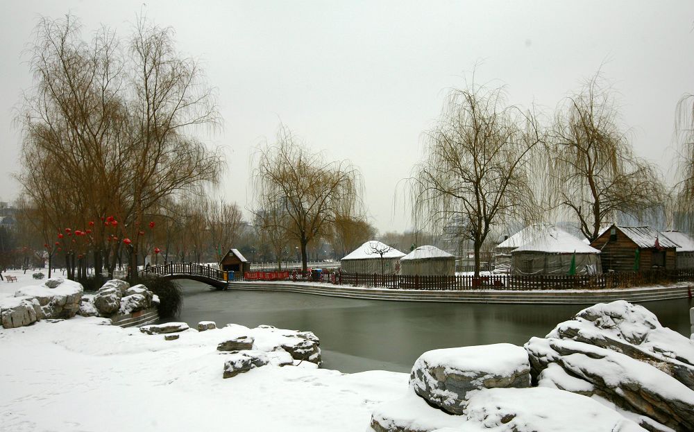 牛年的第一场雪(2) 摄影 老武仔