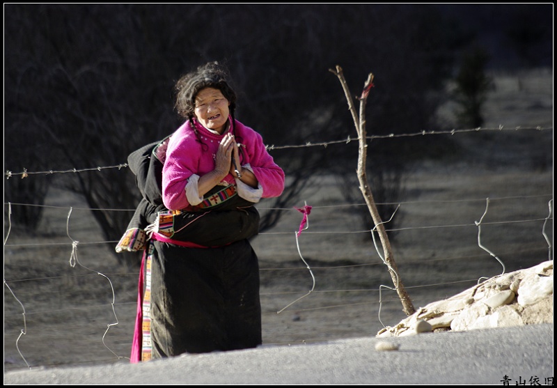 甘南行 摄影 青山依旧