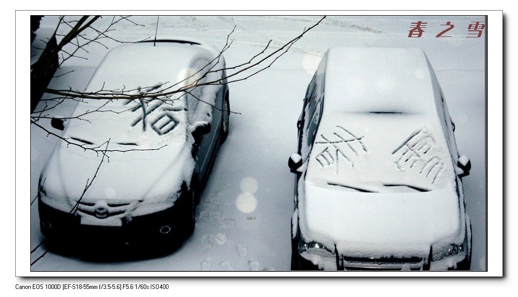 无   题 摄影 菲雪儿