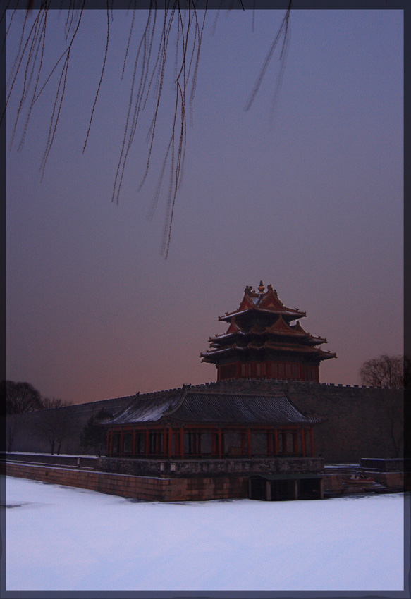 雪润京城 摄影 笨笨刘