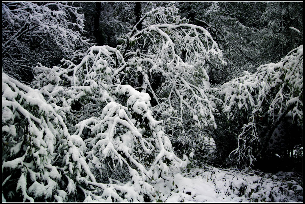 雪韵--雪的感觉 摄影 白玛南疆