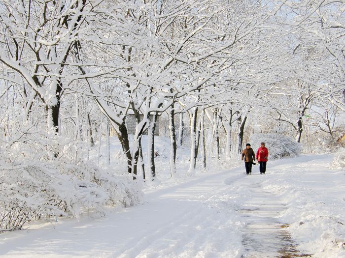 清冬瑞雪 摄影 皓月郑顺安