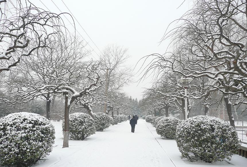 我们这里的第一场雪 摄影 pangzhuzhu