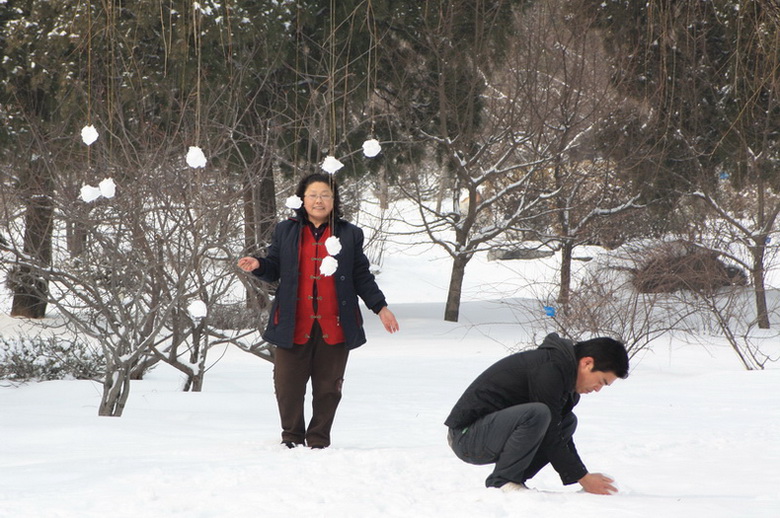 雪果 摄影 蒿子