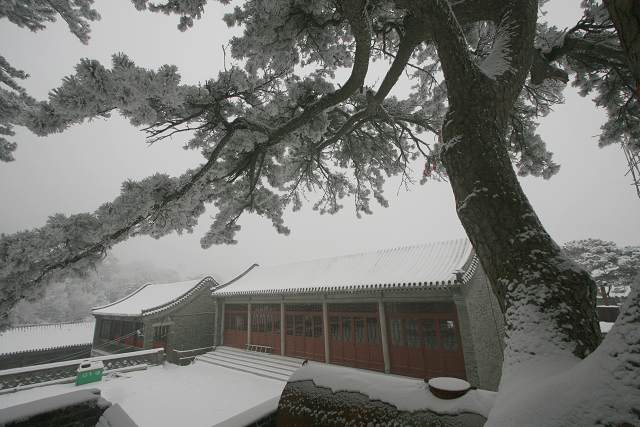 雪压青松 摄影 京西长山