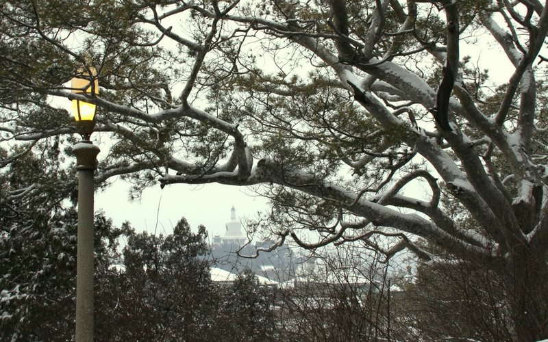 景山古柏—北京早春雪景（2） 摄影 TT1948