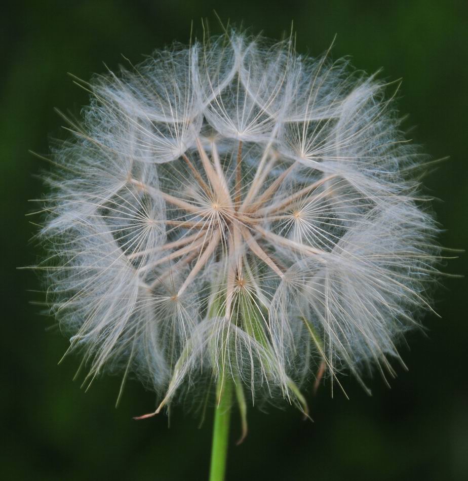 球 摄影 雨中飞