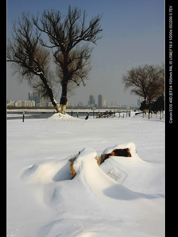 雪景 摄影 天道