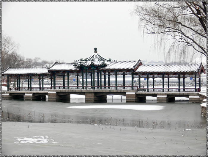 雪后小景 摄影 岩影