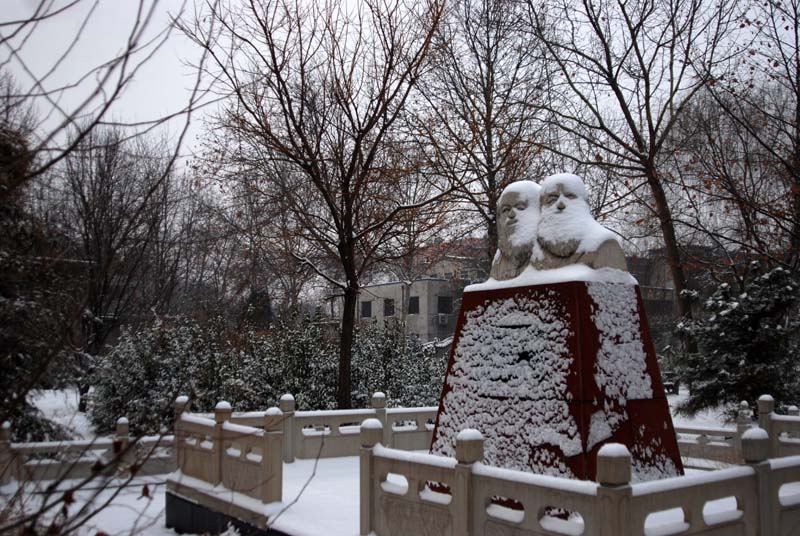 马列遭遇春雪 摄影 金鹏