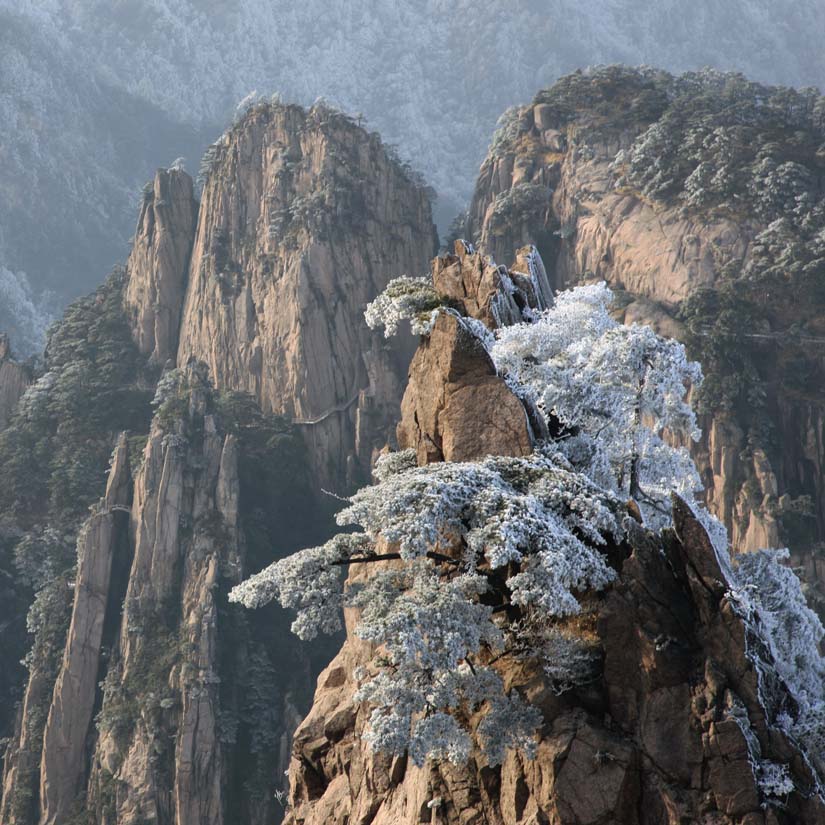 黄山即景 摄影 泽雅人家