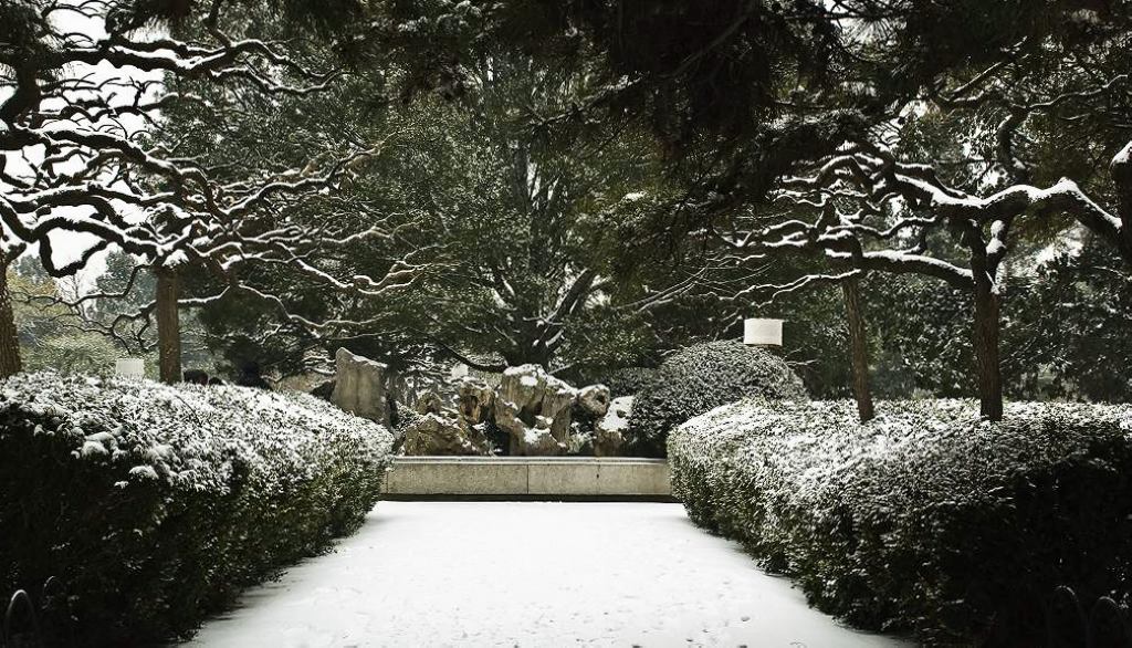 公园雪景 摄影 相逢是歌