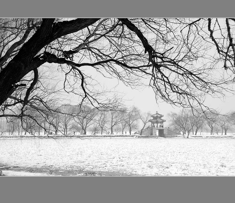 雪后颐和园（二） 摄影 紫杉