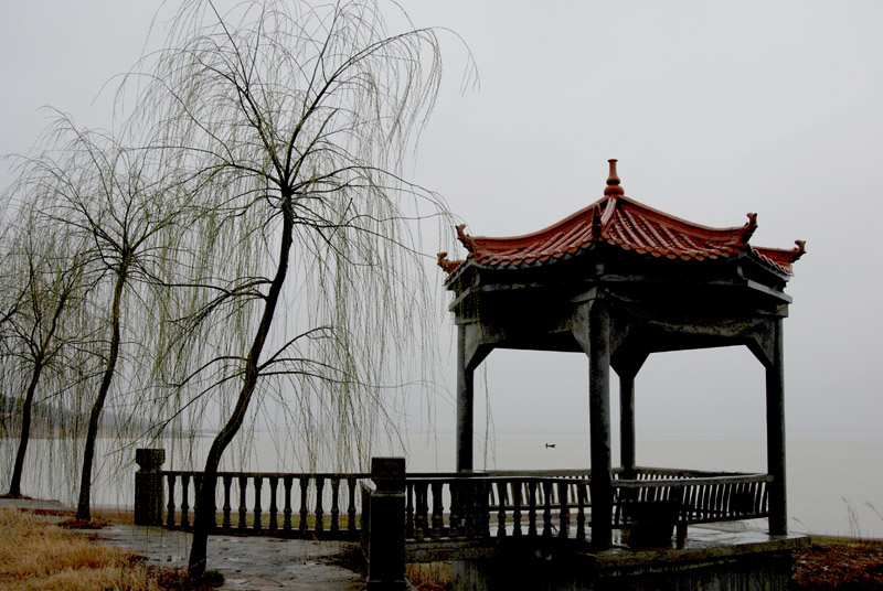 细雨润无声 摄影 荒木