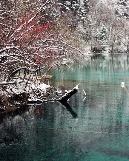 九寨冬色--平湖嫣红 摄影 柏岩