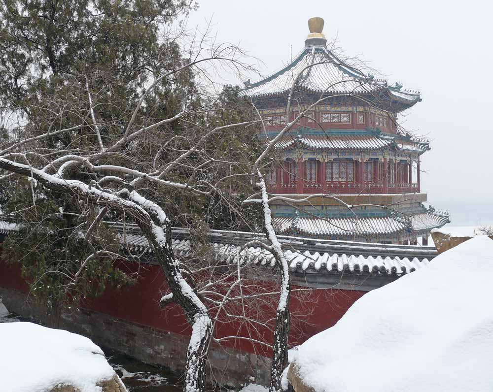 晨雪 摄影 东方祥云