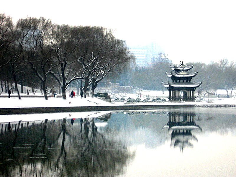 春雪2 摄影 秋雨