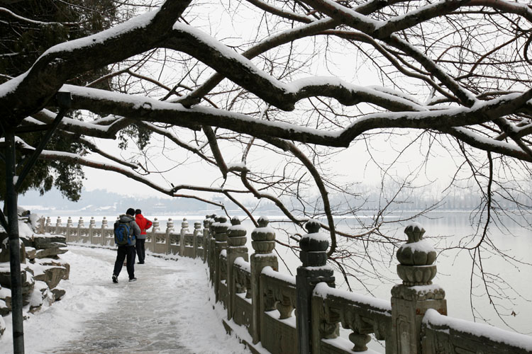 春雪之美 摄影 老豆芽