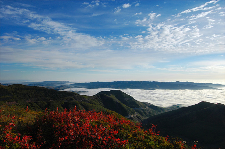 六盘山秋色 摄影 青松s