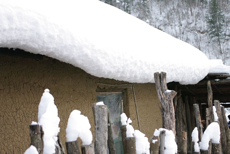 大雪落农家 摄影 一声长鸣