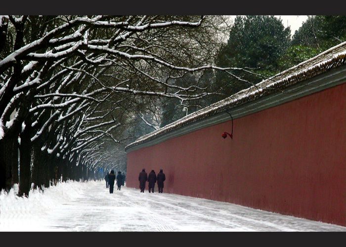 春雪 摄影 雨中家人