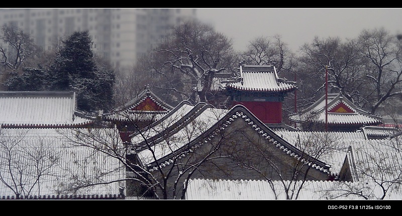 京城春雪 摄影 陕北农民