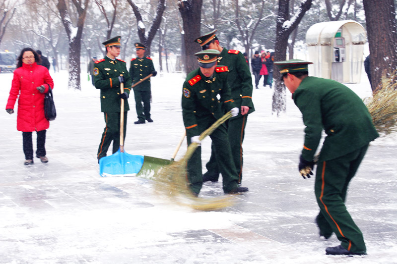 红绿映春雪 摄影 寒梅傲雪