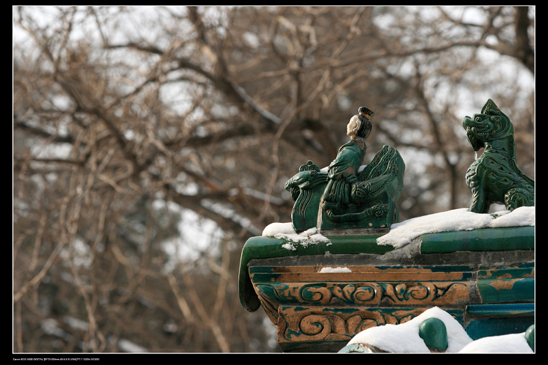 颐园雪景——骑凤仙人 摄影 michaelmeng