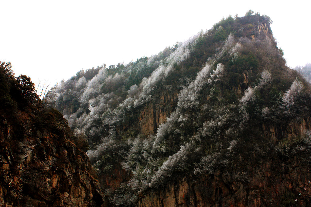 雪淞 摄影 dengge