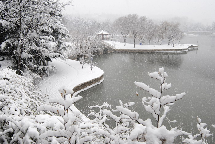 纷雪若梦 摄影 江长海阔