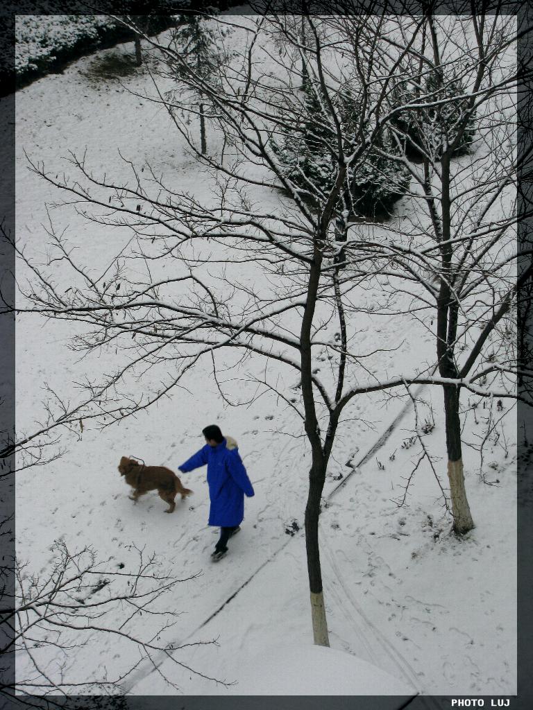 踏雪出游 摄影 鹿江