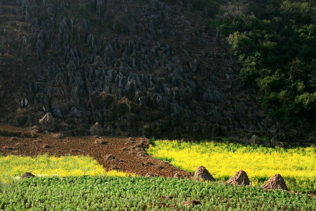 山村 摄影 聆听33