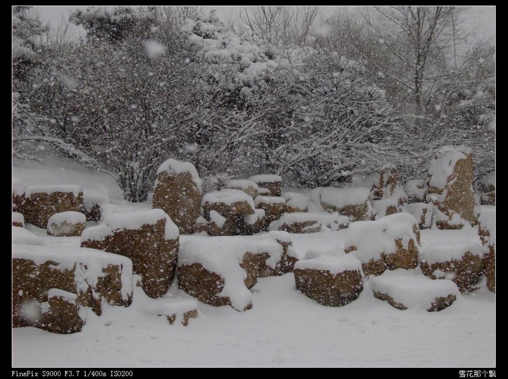 雪花那个飘 摄影 思想家