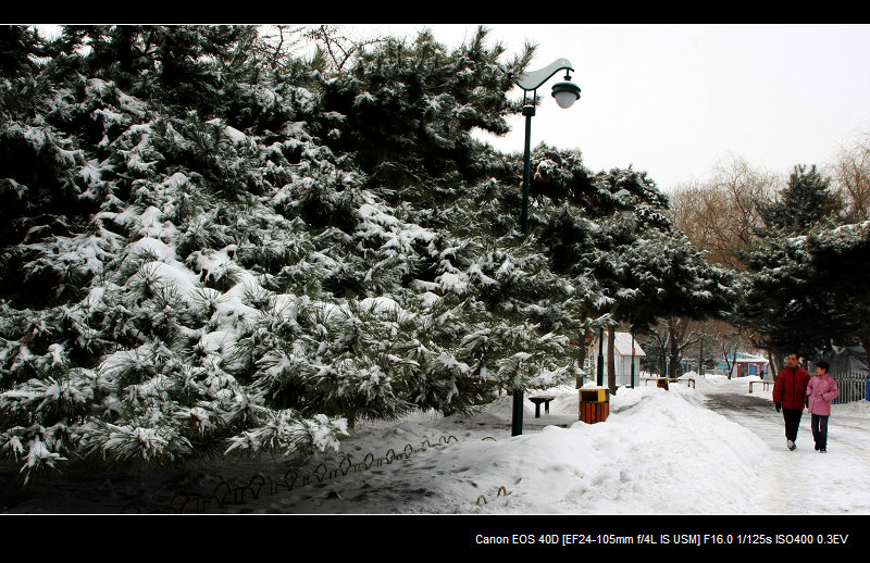 雪景 摄影 天道