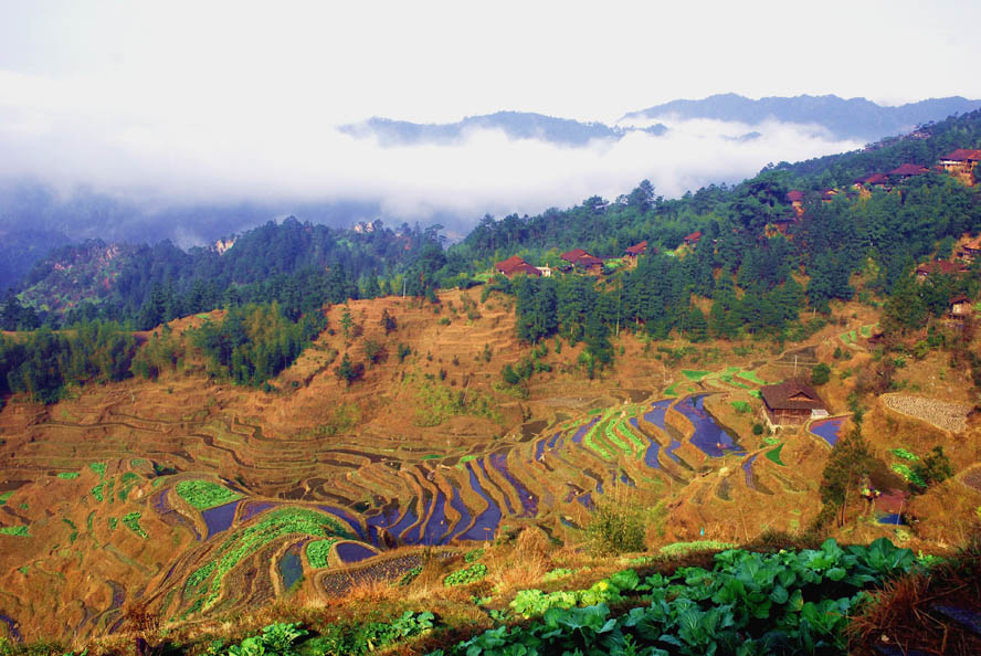 苗岭早唱 摄影 山水迷