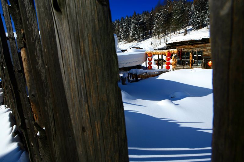 雪乡人家 摄影 鹤天