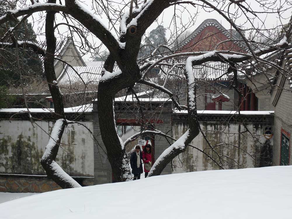 雪苑 摄影 东方祥云