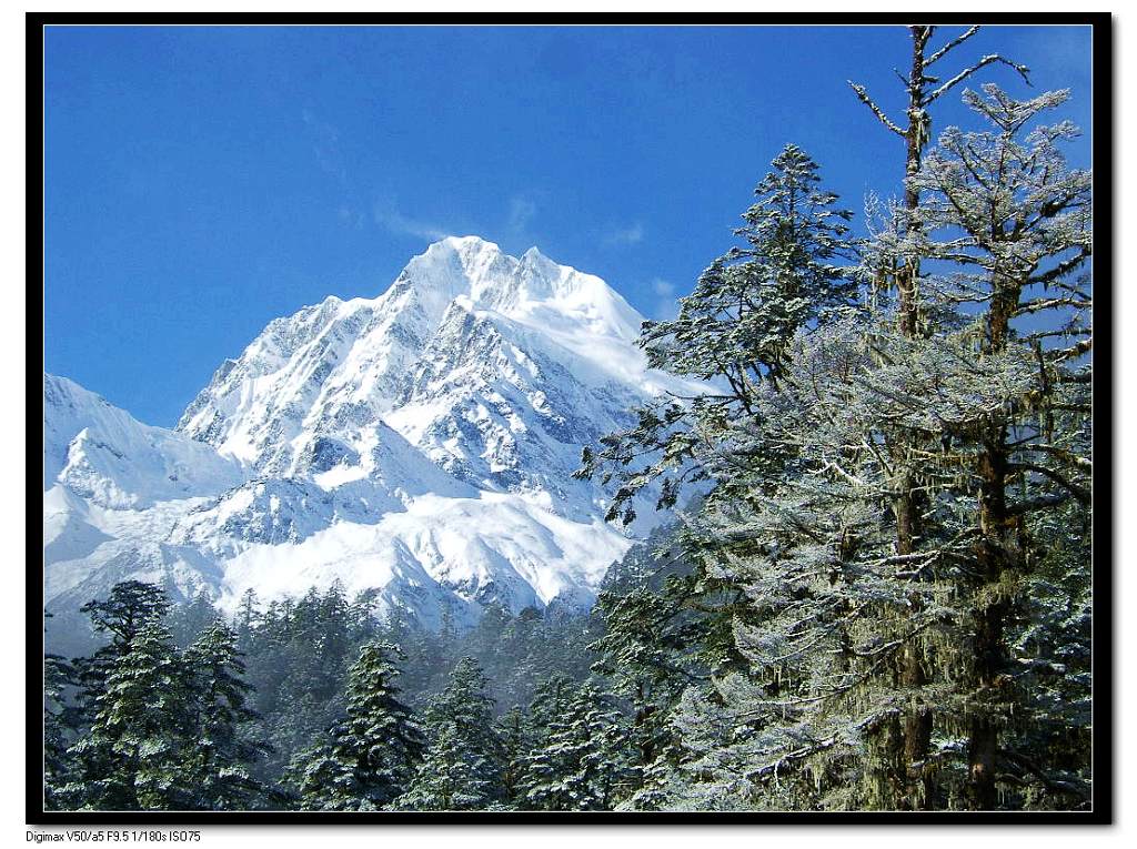 贡嘎雪山 摄影 大白熊