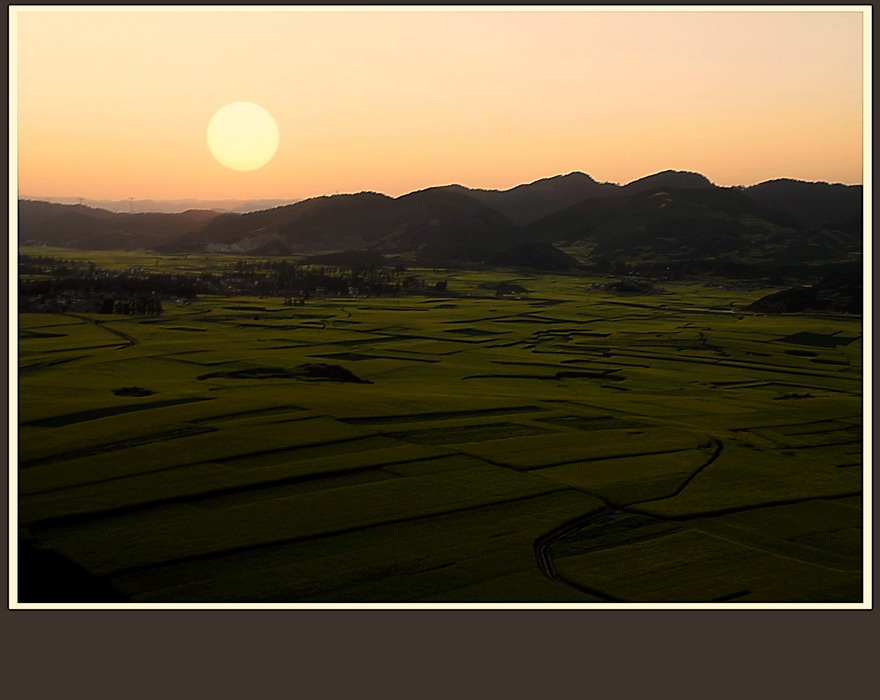 花海日落 摄影 xrliang