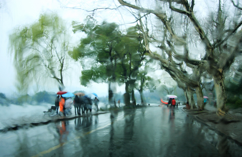 春雨如酒柳如烟 摄影 西北色狼