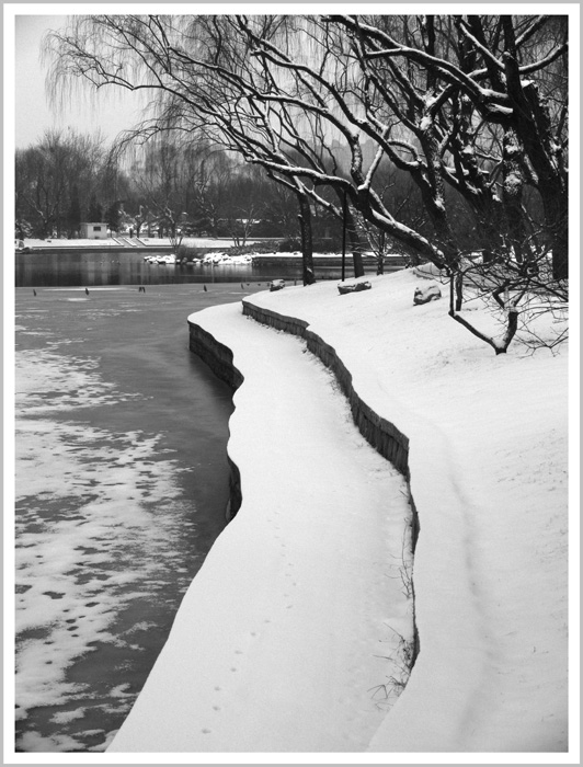 踏雪图 摄影 岩影